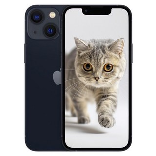 아이폰13 미개봉