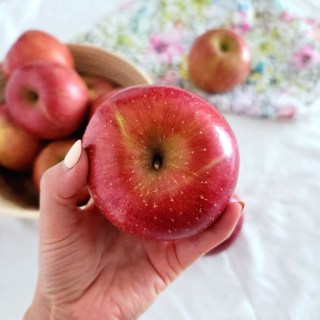 경북사과 고당도 못난이 3kg 5kg 10kg 햇사과, 1박스, 가정용 부사사과 중과 10kg(30~40과)