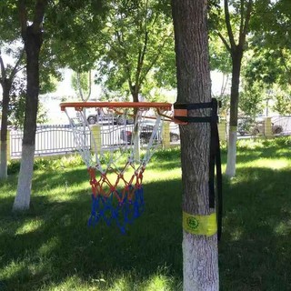 籃球框 室內籃球框 籃球框室外 籃球框架 籃框室內 兒童籃球框 壁掛式戶外投籃籃筐, 黑,成人加固加厚空心+網+膨脹螺絲, 1個