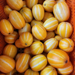 달코미성주참외 가정용혼합과, 10kg, 1개