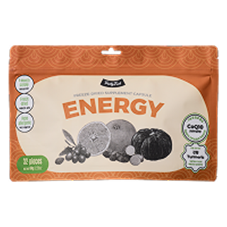 트러스티푸드 동결건조 저알러지 한방캡슐 에너지 강아지 항산화제 노견 기력회복 영양제, 1개, 활력, 32정