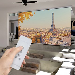 아라크네 전동스크린(리모컨포함) 화이트시그니처 145인치, 전동스크린(리모컨포함) 시그니처화이트 145인치