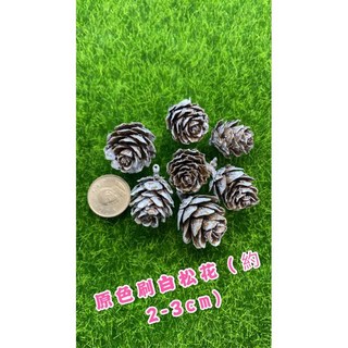 L-one 聖誕迷你刷白松花 原色刷白 復古白邊松果 聖誕裝飾品 乾燥花擺件 聖誕樹裝飾 攝影道具 迷你場景佈置, 1個, 原色刷白松花(約2-3cm)-一包10個