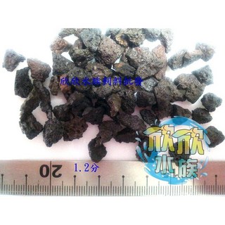 欣欣水族 AF7 AF8 印尼火山岩10公斤 1.2分, 1個, 1.2