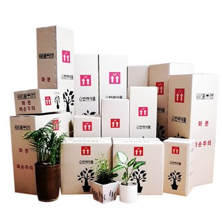 박스365 튼튼한 꽃 생화 화훼 나무 화분 화초 식물 택배박스 29종 모음, 연갈색 박스 A456 30장(380*270*305), 30개