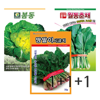 주주씨앗 월동채소씨앗 3종세트 노지월동씨앗 종자 봄동 월동시금치 월동춘채 겨울초 포항초 섬초 동초 땅딸이, 1개