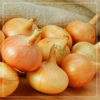 국내산 햇 양파 무안 양파, 1개, 양파 소 3kg