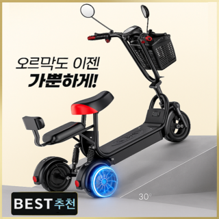 아트테크 전동스쿠터 전기스쿠터 3륜 세발 전동카트 레저용 쇼핑용 리조트용 출퇴근용 부모님 효도선물 유치원 초등학생 등원 전동자전거, 1개, 1000W 48V + 12A리튬배터리(50km주행)