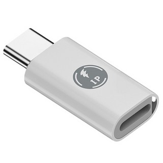 Lightning轉Type-C轉接頭，輕巧便攜，快速轉換，隨插即用，適用於手機平板電腦, 1個, Type-C公轉Lightning母