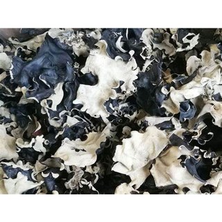 埔里特產 白背黑木耳