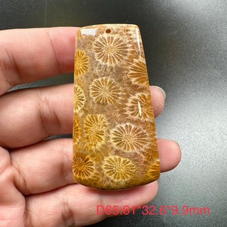 珊瑚玉菊花石吊墜 D65 全透光 61*32.6*9.9mm 獨特紋路 收藏級別