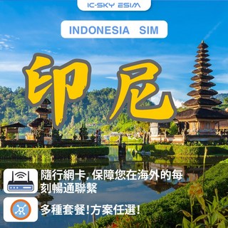 洲際電通 印尼網卡-日流量型實體卡