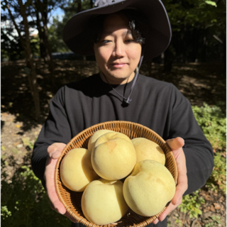 [상위1%생산자직송] 고당도 설아 설리 복숭아, 1박스, 실속형 1kg(3~4과)