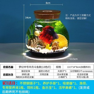 生態瓶微景觀水族箱 鬥魚缸 辦公桌面客廳玻璃魚缸 生態球微景觀, 中號半月斗魚款+遙控13色燈, 1個
