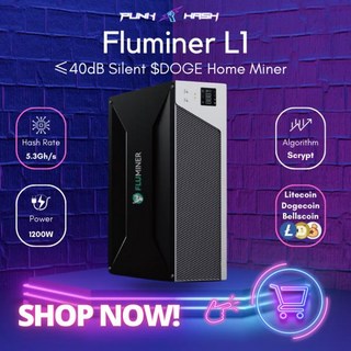 사전 배치! 아님! 새 제품 Fluminer L1 5.3Gh/s 도지코인 채굴기 라이트코인 Doge Bells 조호환한 홈 금, 01 January Batch