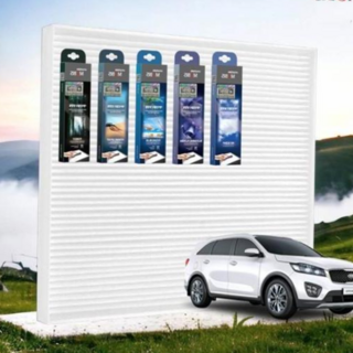 올뉴쏘렌토 정품 에어컨필터 전용 탈취제 세트_WE53DF5, 블루밍플라워