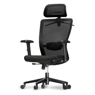 FlexiSpot 사무용의자 하중136KG 튼튼한컴퓨터의자 편안함 메쉬의자 A/S 3년 OC3, 블랙