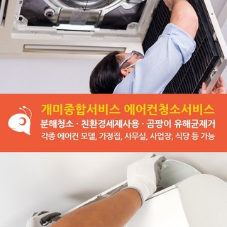 에어컨청소 분해청소 친환경세제사용 가정 사무실 사업장 식당 에어컨 청소 서비스 먼지 곰팡이 제거 1way 2way 4way 벽걸이 스탠드 2in1, 가정 및 일반사무실, 1개