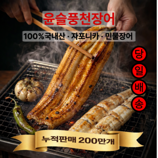 윤슬풍천장어 프리미엄 국내산 자포니카 손질 민물장어, 1개, 1kg (700g내외)