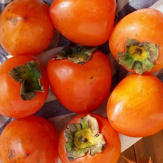 국내사 곶감용 대봉감 중대과 5kg 21-25과