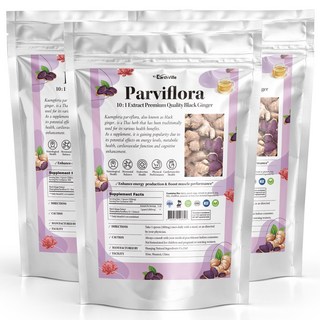 어스빌 파비플로라 벌크 100% 흑생강 대용량 추출물 가루 분말, 200g, 3개