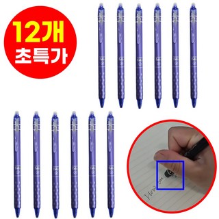 호아인터 지워지는 볼펜 0.5mm, 12개, 블루