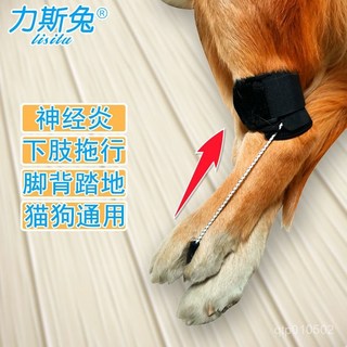 力斯兔 寵物後腿輔助帶 神經炎 下肢拖行 腳背著地, 1個, 單支,M碼適合小腿圍9-12厘米