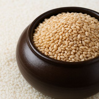 한반도 땅끝쌀 현미, 현미 20kg (24년산), 20kg, 1개