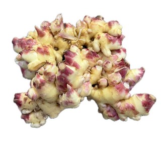 국내산 햇생강 최상품 영주 봉화 안동, 1박스, 10kg