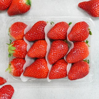 팜앤프룻 고당도 제철 설향 딸기, 1개, 2kg 특