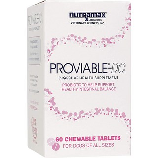 뉴트라맥스 프로바이어블 강아지 유산균 Proviable-DC 60츄어블 x 1통, 60정, 장건강/유산균, 1개