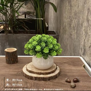 仿真綠植盆栽擺件 家居/民宿擺飾 會議室/辦公室迷你裝飾品, 金錢木+花盆, 1個