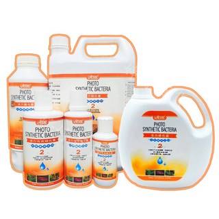 ISTA 伊士達 活力光合硝化菌 水質護理系列 硝化菌 培菌 淨水 台灣製, 1個, 2000ml 2L