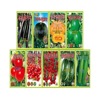 도시숲MALL씨앗모음 토마토 대추 방울토마토 가지 애호박 단호박 맷돌 호박 씨앗 모종 묘종 종자 육묘, 구리지나단호박(40립)