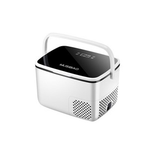 MUSIBAO迷你冷藏箱，便攜式車載冰箱，快速製冷，多功能保鮮，節能省電, 黑白色, 18L冷凍冷藏家用橋車貨車三用數控壓縮機