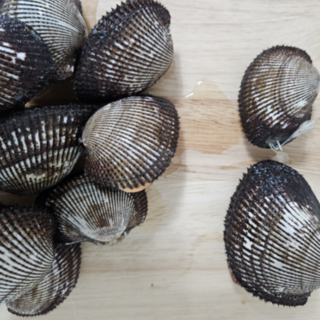 홍지수산 벌교 피꼬막 1kg 왕꼬막 자연산, 1개