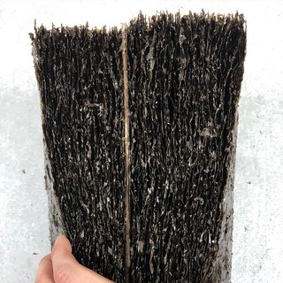 [선물세트] 전남 신안 장흥일대 지주식 재배한 명품 곱창김 대천 광천 해남 진도 완도김, 1개, 400g