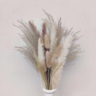 熱銷乾燥花束，兔尾草小蘆葦，波西米亞風客廳擺飾，潘帕斯草居家花藝佈置，質感花材特價中, 花束1
