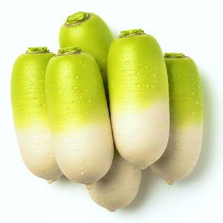 지구별장터 국산 제주 햇 무우 월동무 세척무, 1박스, 3kg(2~3개)