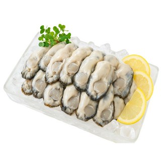 [재구매율1위] 통영 생굴 손질 굴 신선한 최상급 세척굴 횟감용 김장용 조리용 디아머스, 1개, 1kg