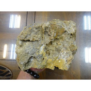 印尼珊瑚玉菊花石菊石原礦5805克能量礦石擺件，天然紋理，提升居家氣場