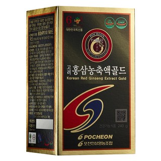 포천홍삼 고려홍삼농축액골드 240g, 1개