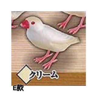 【M.M小舖】現貨 轉蛋 扭蛋 文鳥造型公仔P5 全9款 鳥類模型 飛行鳥, E款/米白鳥3U220, 1個