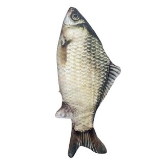 헤일리마켓 리얼한 생선 필통 물고기 붕어 파우치 재미있는선물, 떡붕어