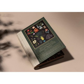 Botanical Inspiration: Nature in Art and Illustration