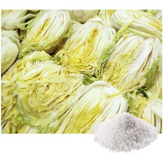 강원도 고랭지 절임배추, 1박스, 10kg, 익일 출고