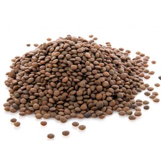 렌틸콩 1kg
