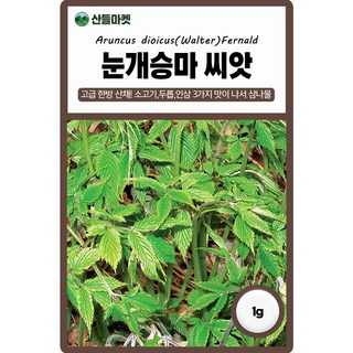 다농 눈개승마 씨앗 1g 눈개승마씨 삼나물 산채 종자, 1개