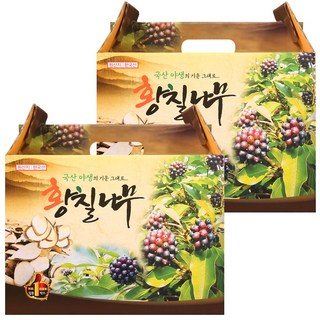 해피스토어70 황칠나무즙 진액 엑기스 100ml X 60포 국내산, 120개