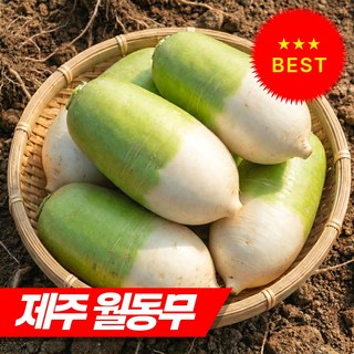 [맛있는 국산 무우] 제주 무우 무, 1세트, 제주 무우 10kg